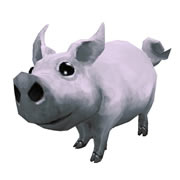 Silver Pig