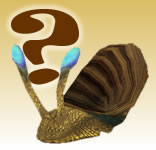 Possible snail pet